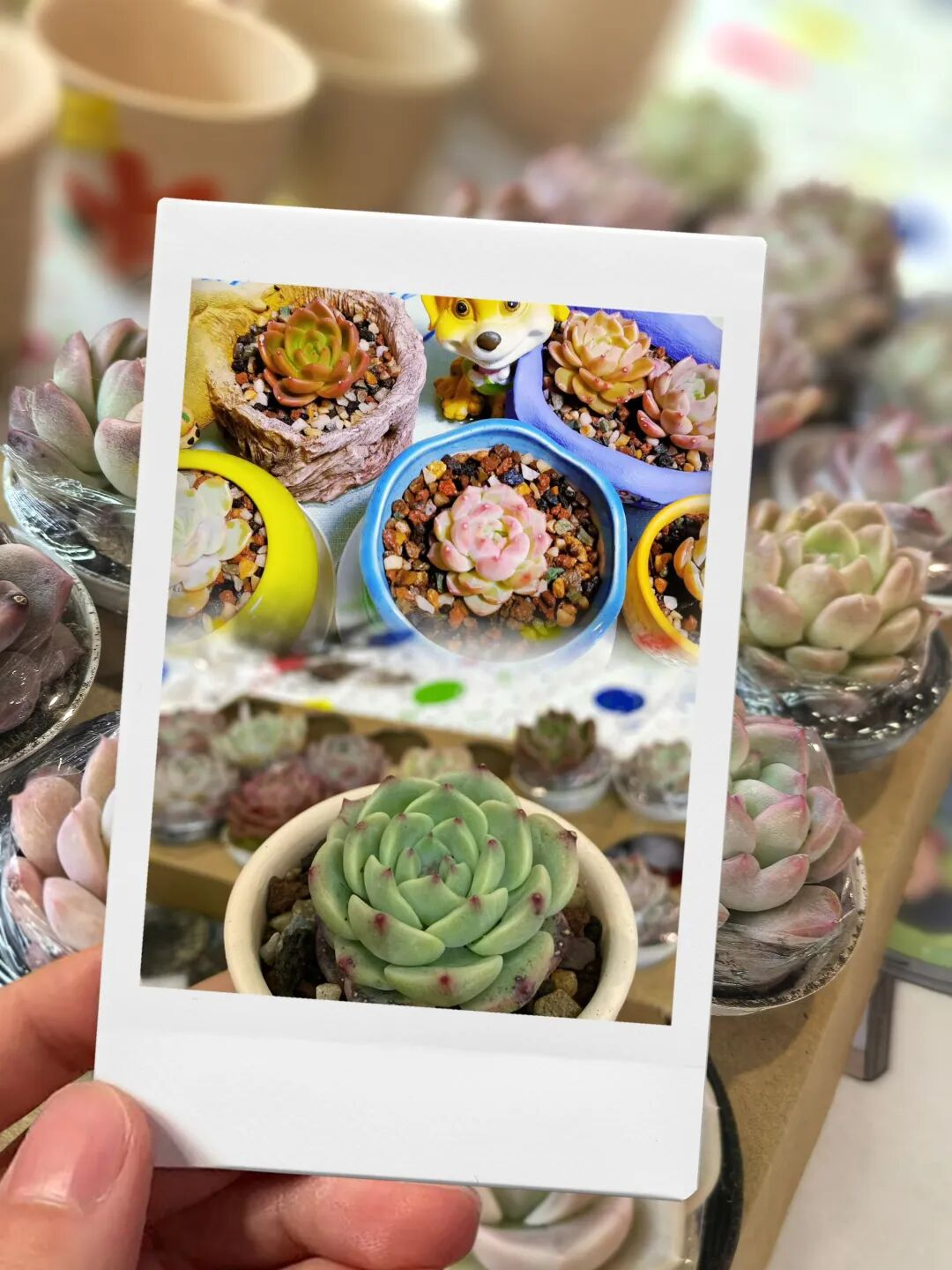 1780384602793501.png 图片48.png